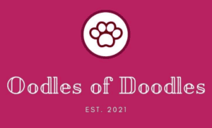 Home - Oodles of Doodles Georgia